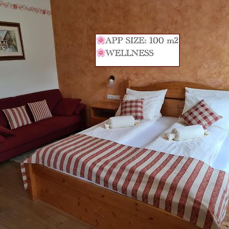 Apartmaji Sitar Ribnica na Pohorju 外观 照片