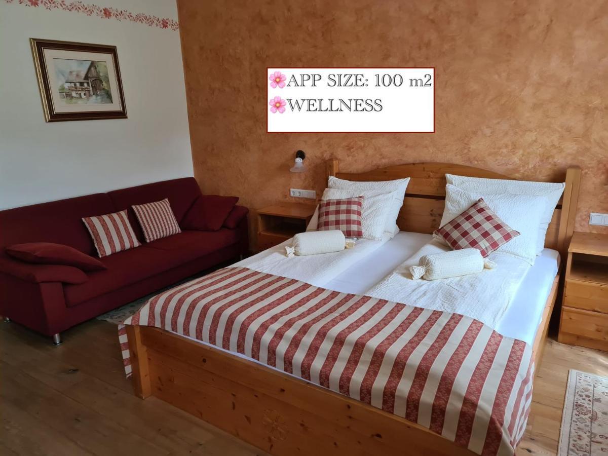 Apartmaji Sitar Ribnica na Pohorju 外观 照片